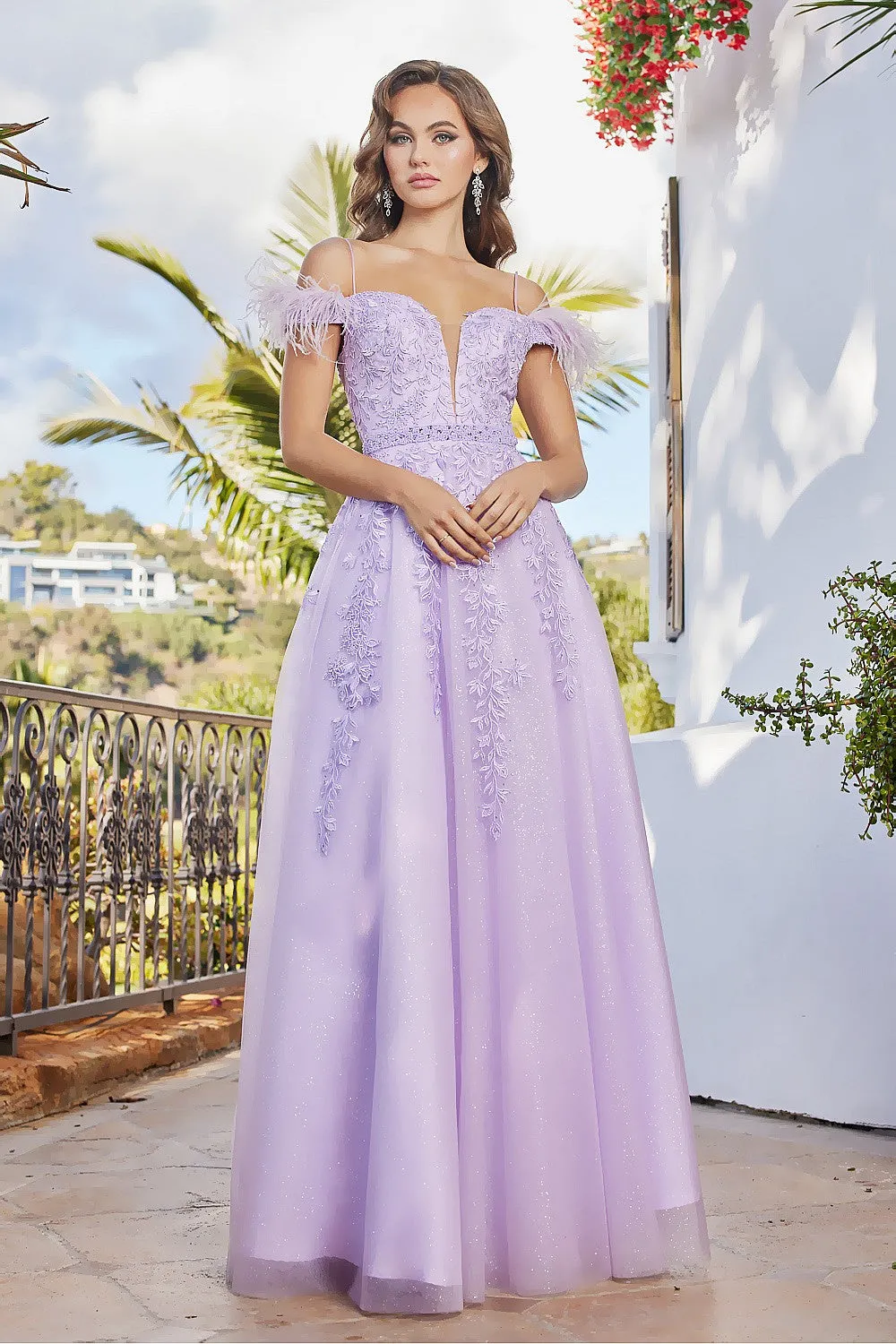 AD 3143 - A-Line Prom Gown With Feather Accented Off The Shoulder Straps & V-Neckline