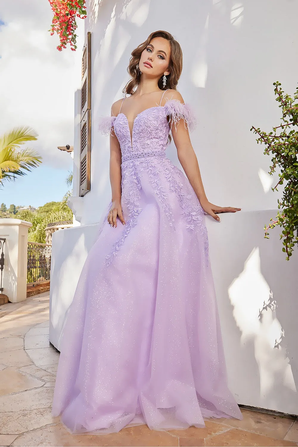 AD 3143 - A-Line Prom Gown With Feather Accented Off The Shoulder Straps & V-Neckline