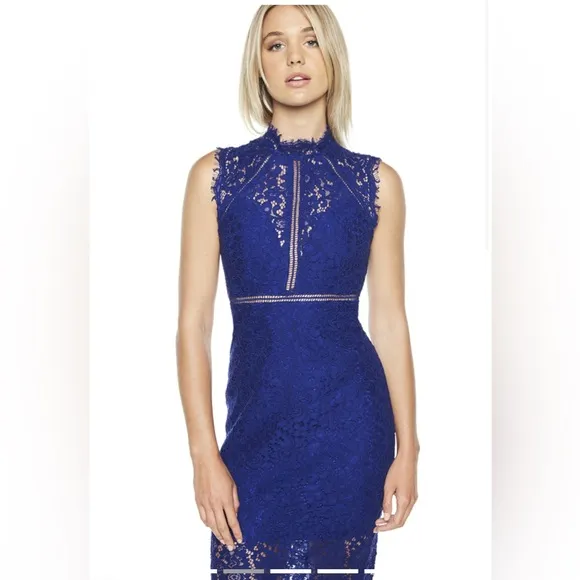 Bardot Lace Panel Dress In Cobalt Sz XL
