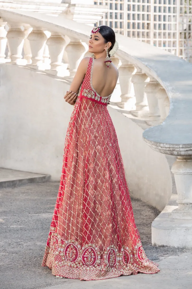 Beautiful designer pink dress with red gown and lehnga # B3342