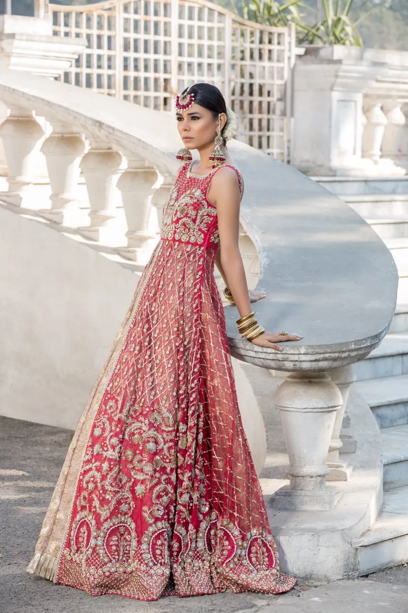 Beautiful designer pink dress with red gown and lehnga # B3342
