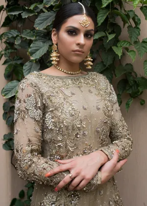 Beautiful Pakistani designer gown dress in dust gold color # B3362