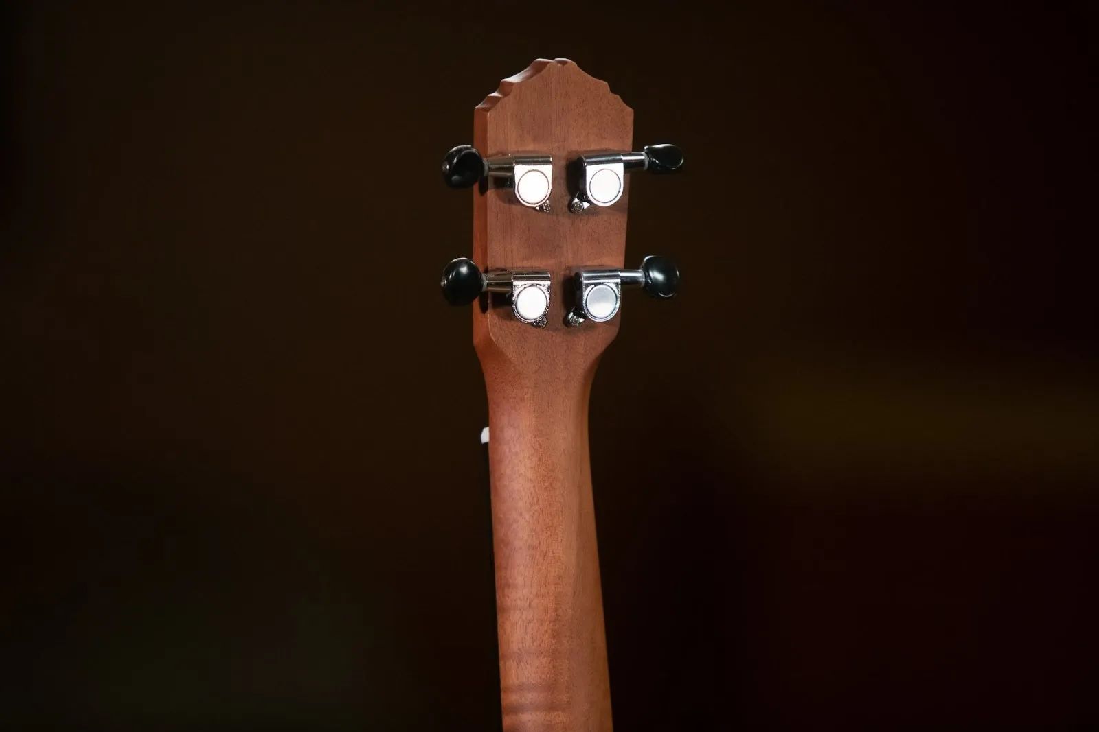 Bonfire Series Baritone Ukulele Spruce / Sapele Natural Acoustic