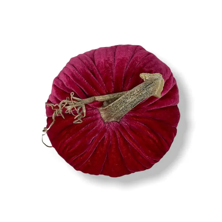 Coral Velvet Pumpkin