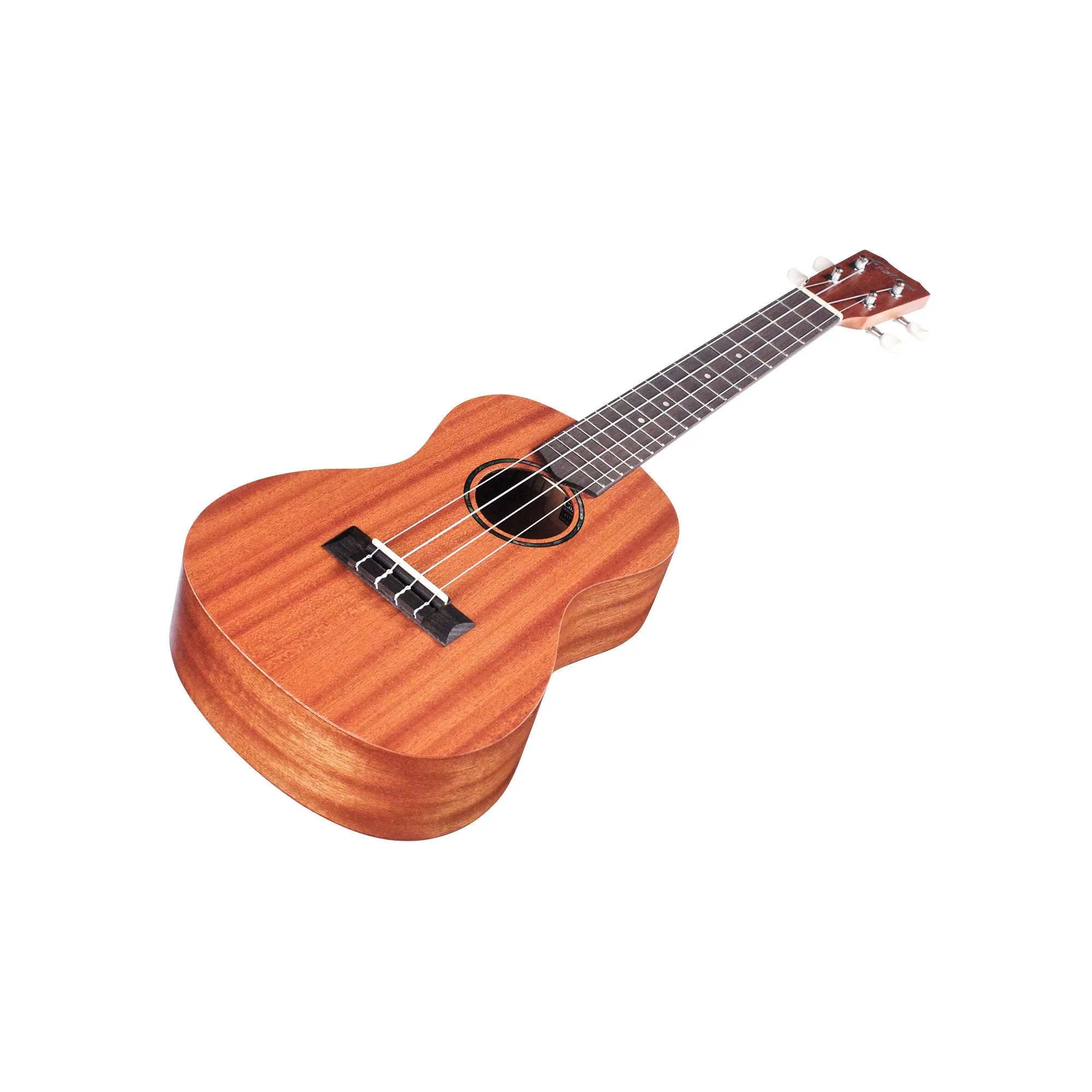 Cordoba U1 Protege Concert Ukulele