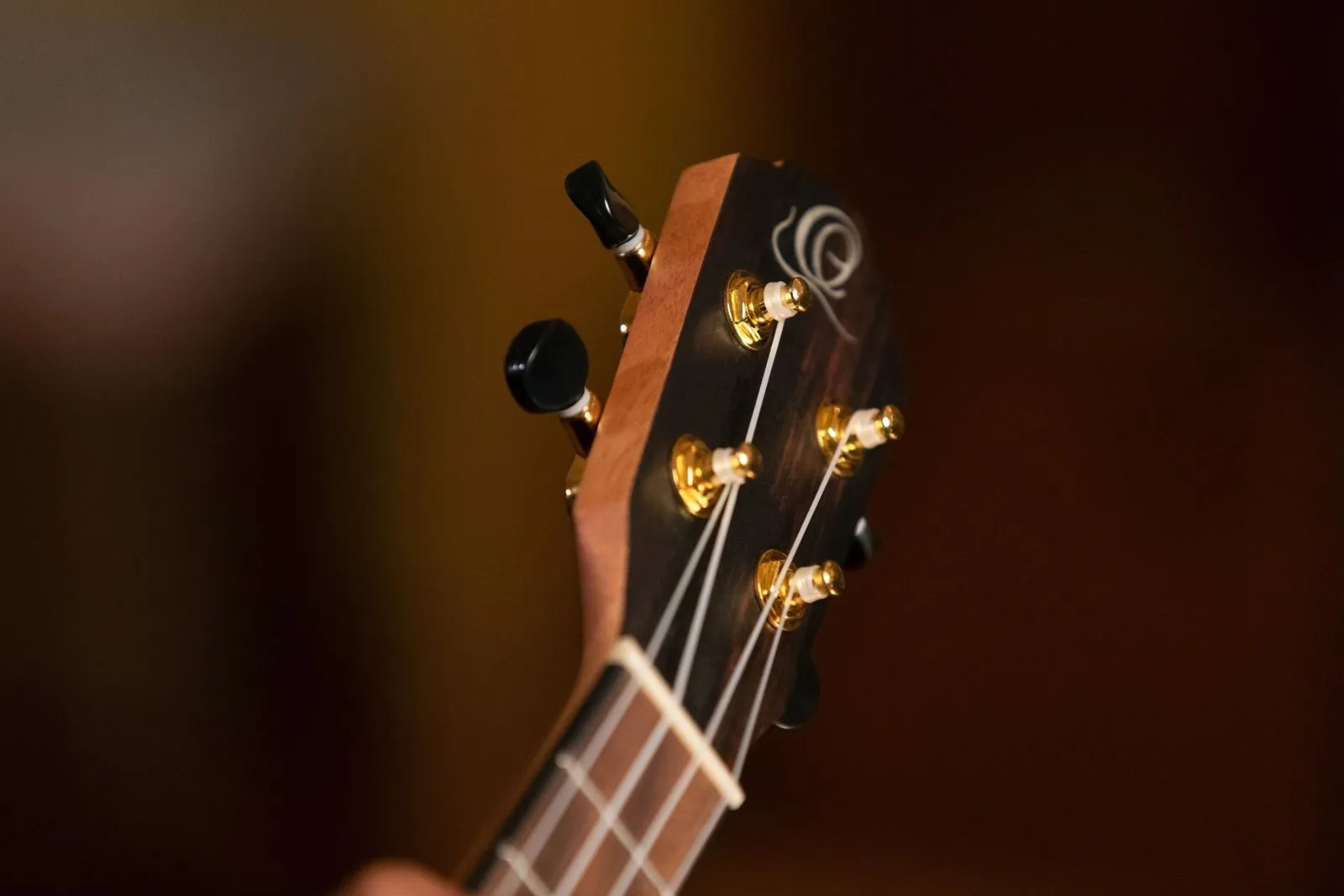 Ebony Concert Ukulele - Natural Acoustic with Gig Bag