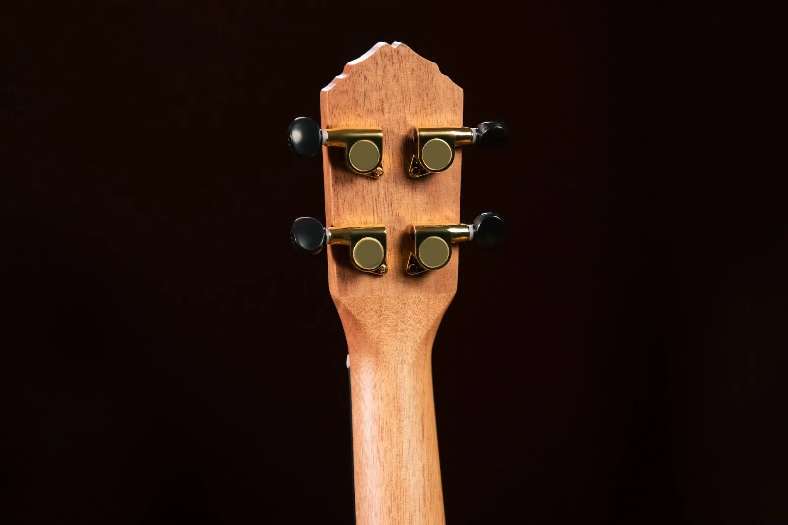 Ebony Concert Ukulele - Natural Acoustic with Gig Bag