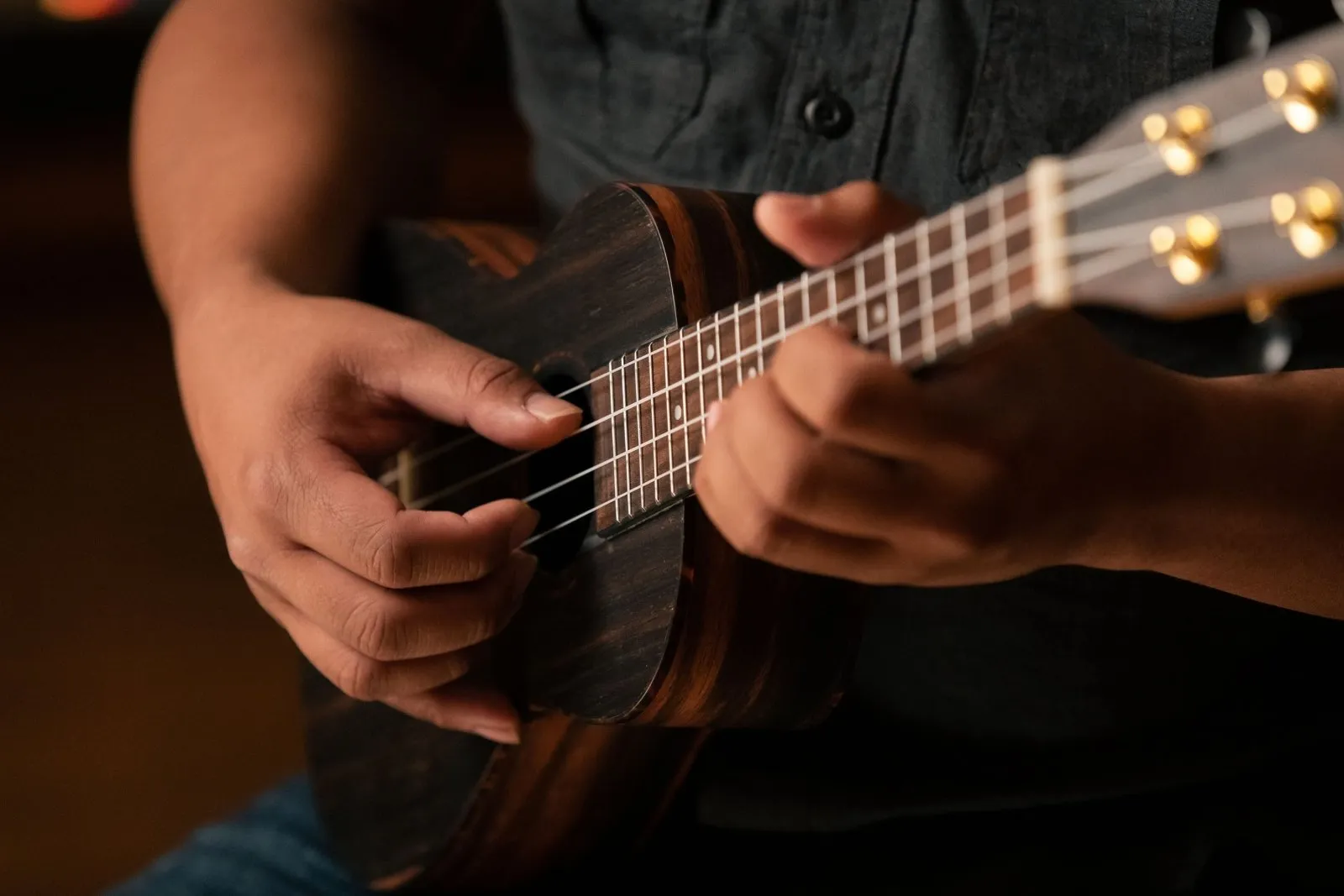 Ebony Concert Ukulele - Natural Acoustic with Gig Bag