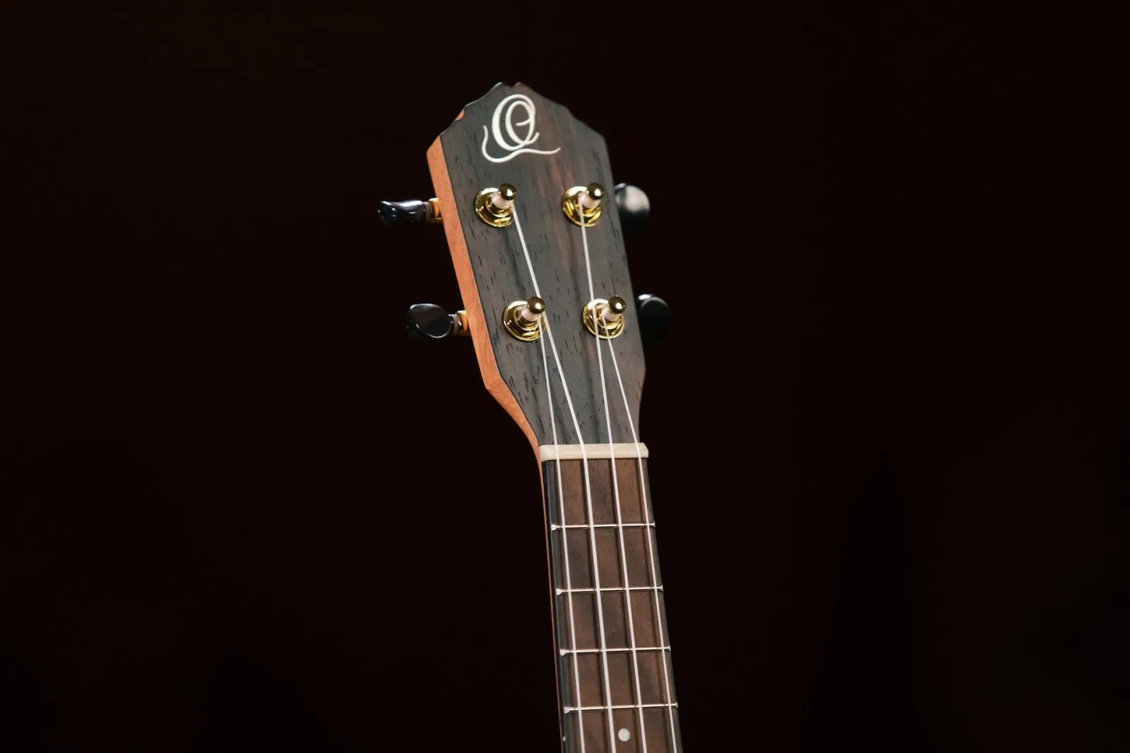 Ebony Concert Ukulele - Natural Acoustic with Gig Bag
