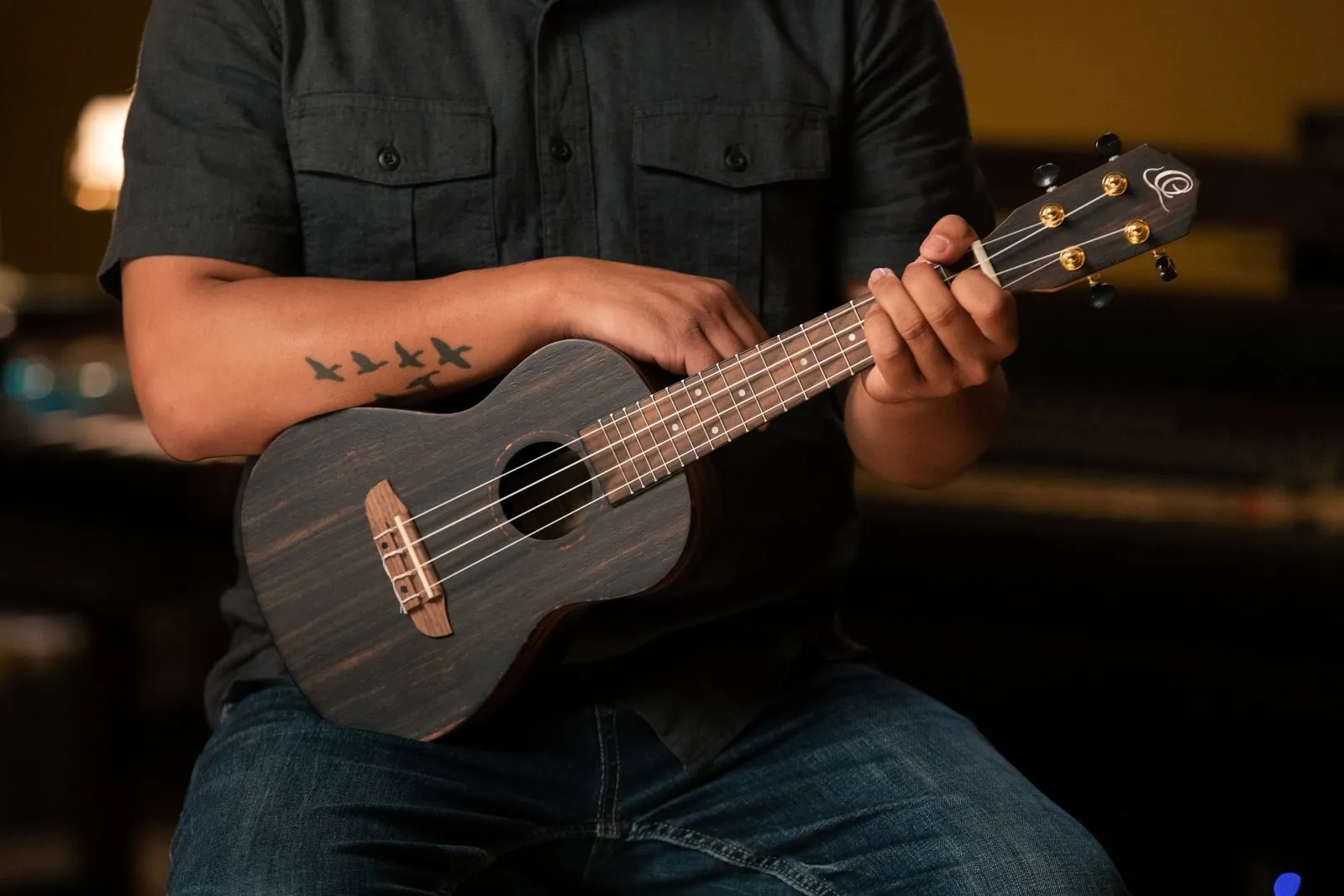Ebony Concert Ukulele - Natural Acoustic with Gig Bag