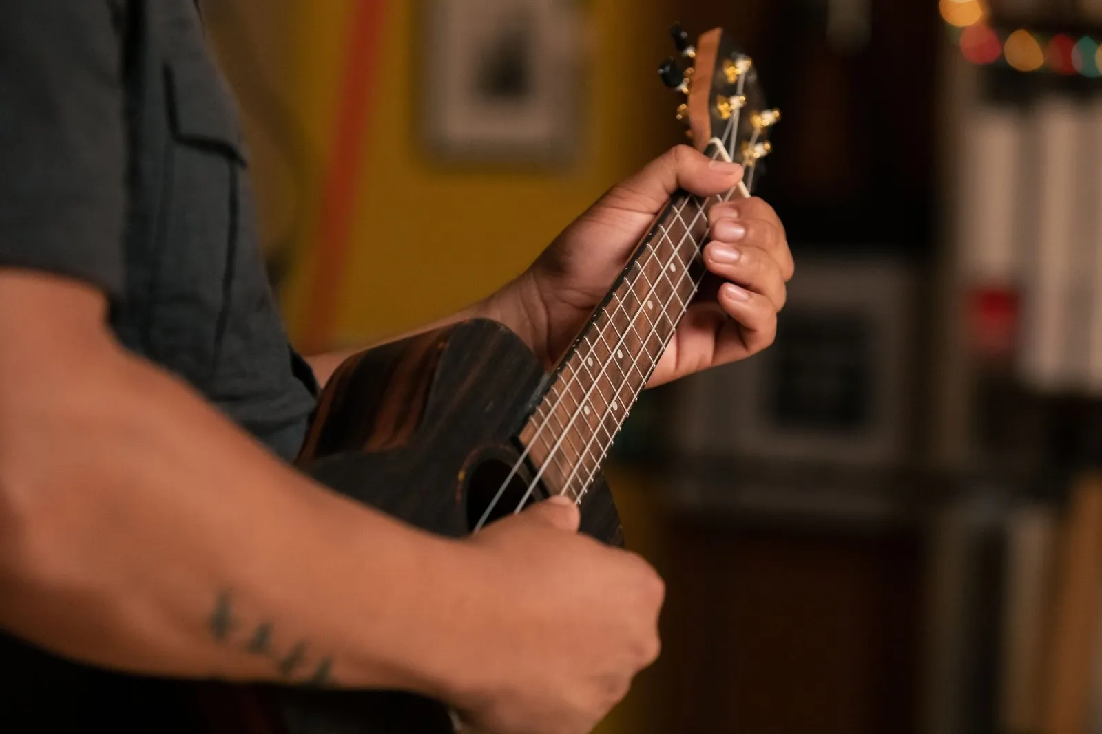 Ebony Concert Ukulele - Natural Acoustic with Gig Bag