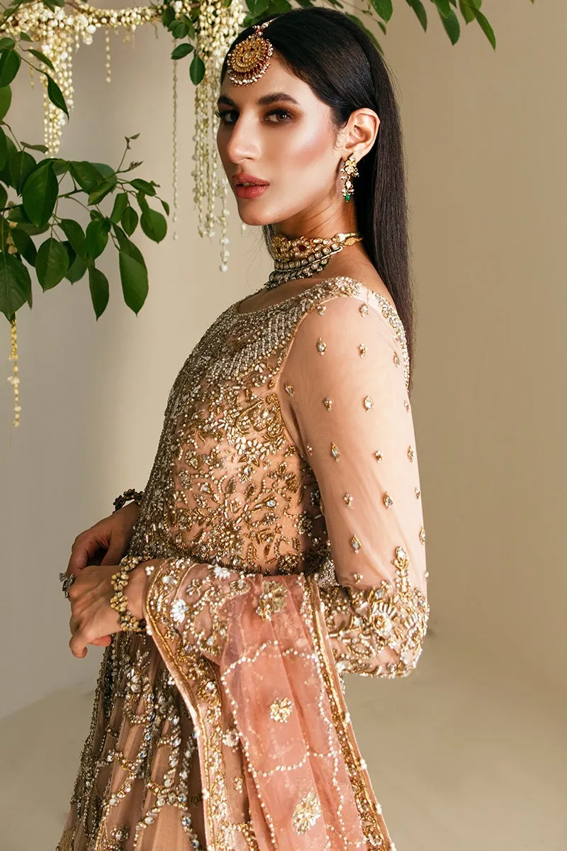 Embellished Gown Sharara Pakistani Bridal Dress #BS729