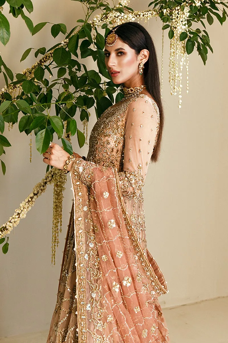 Embellished Gown Sharara Pakistani Bridal Dress #BS729