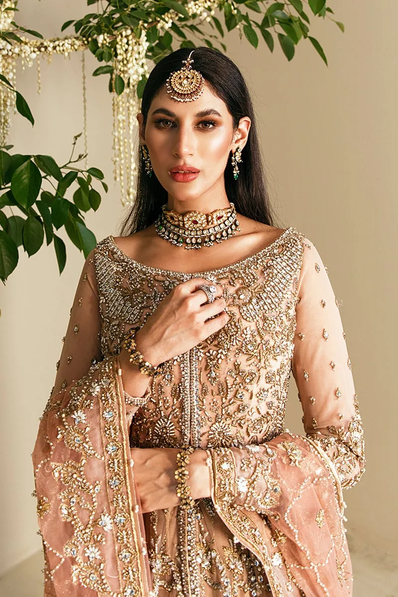 Embellished Gown Sharara Pakistani Bridal Dress #BS729