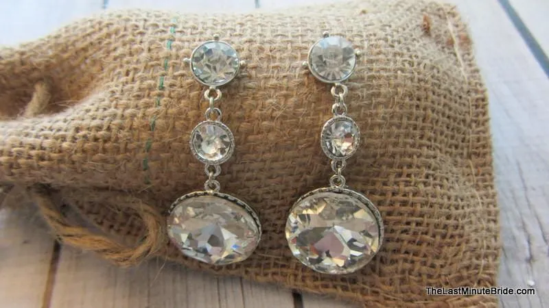 Encircled Sparkle Dangle Earrings (more colors)