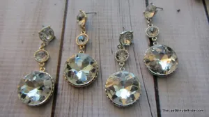 Encircled Sparkle Dangle Earrings (more colors)