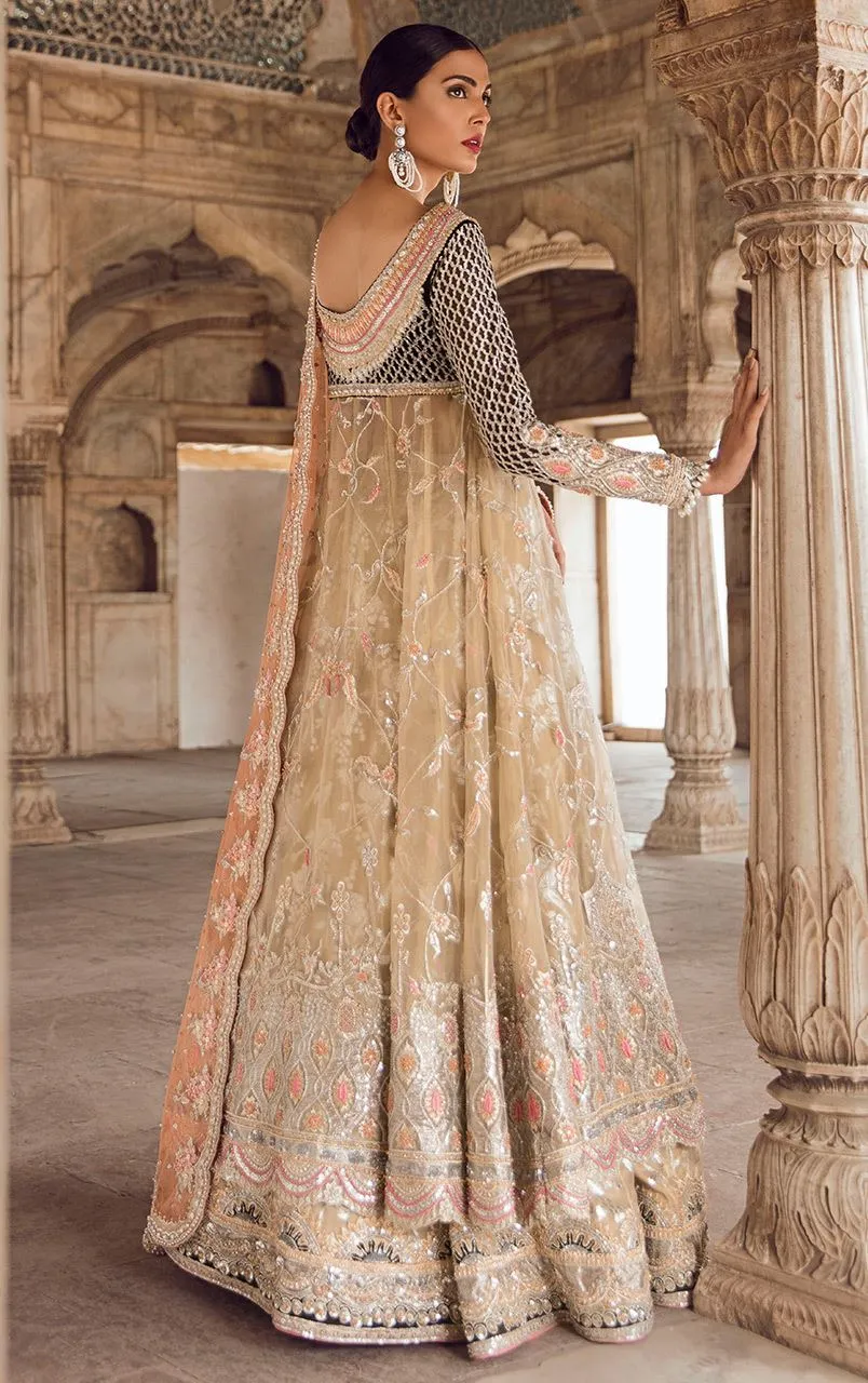 Fawn Colour Wedding Walima Dress