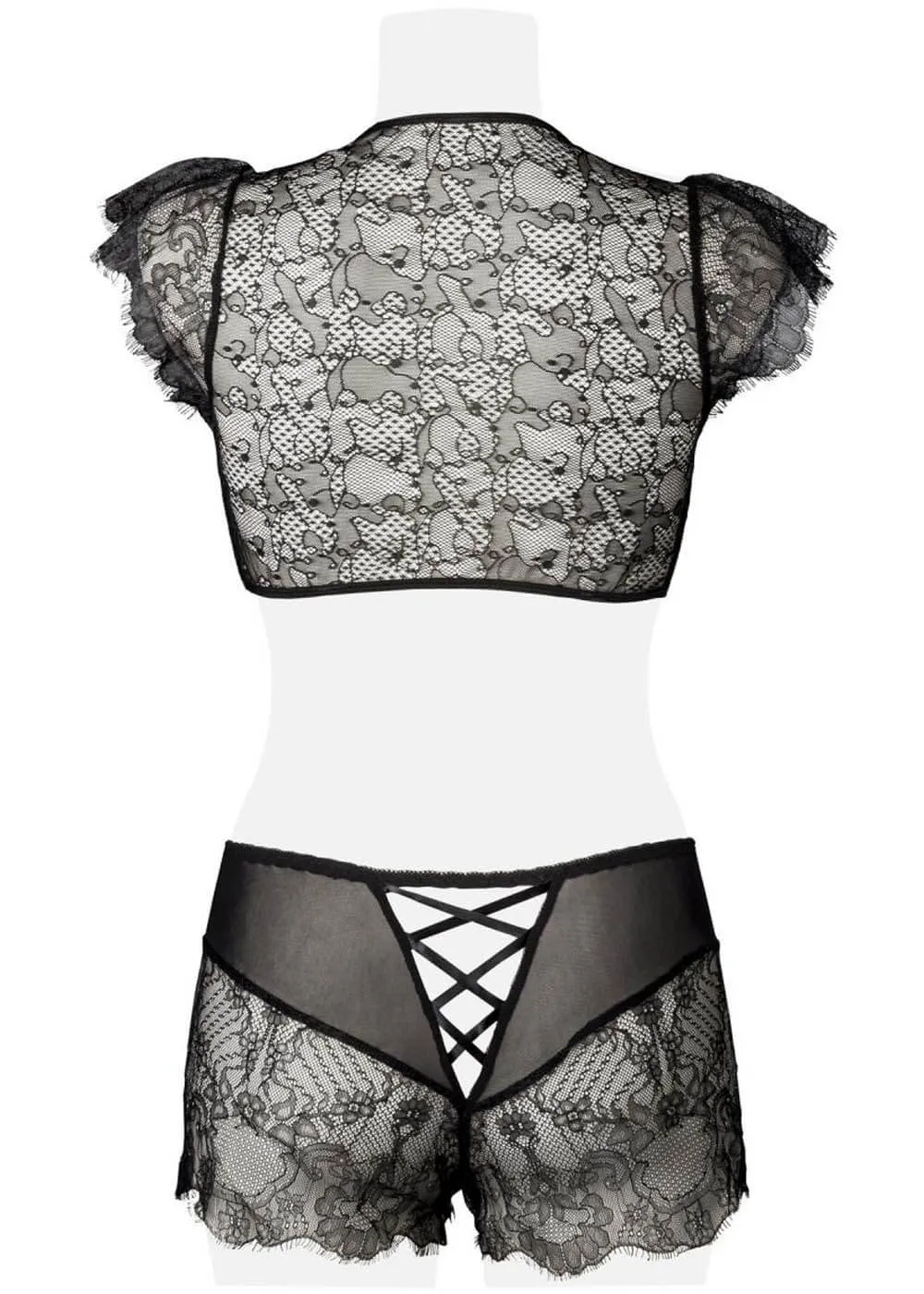 Gray Velvet Sophie Lace Set Black