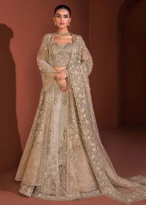 Lehenga Choli Gown and Dupatta Pakistani Bridal Dress