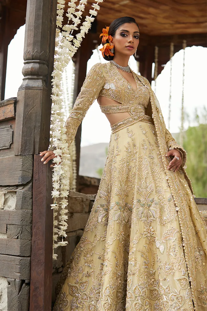 Pakistani Bridal Dress in Gown Dupatta Lehenga Style