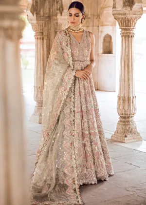 Pakistani Bridal Gown Dress for Wedding in Lilac Color #J5135