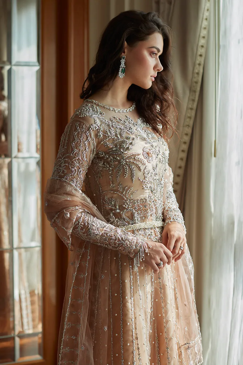 Pakistani Wedding Dress in Net Frock and Sharara Style