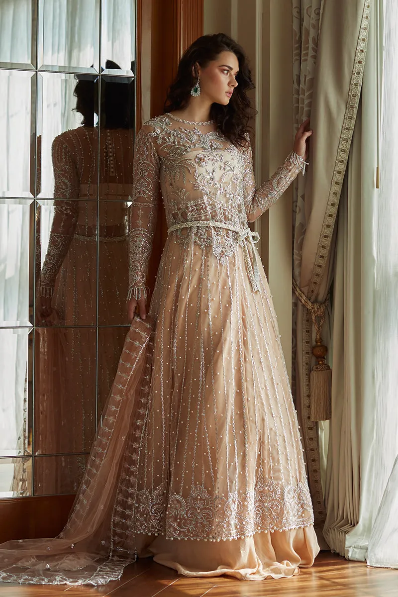 Pakistani Wedding Dress in Net Frock and Sharara Style
