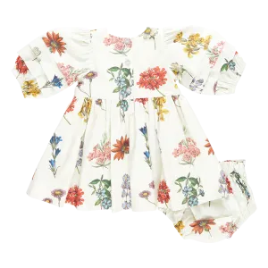 Pink Chicken Baby Girls Brooke Dress Set - Notebook Botanical