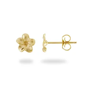 Plumeria Earrings in Gold - 7mm