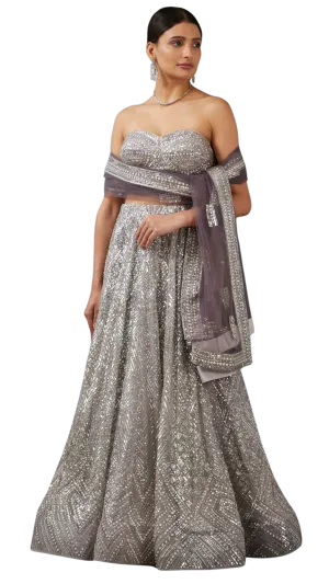 Purple Undertoned Silver Sequined Lehenga