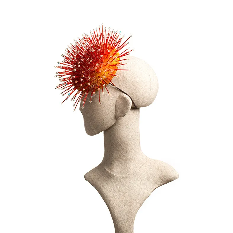 "Sundew"