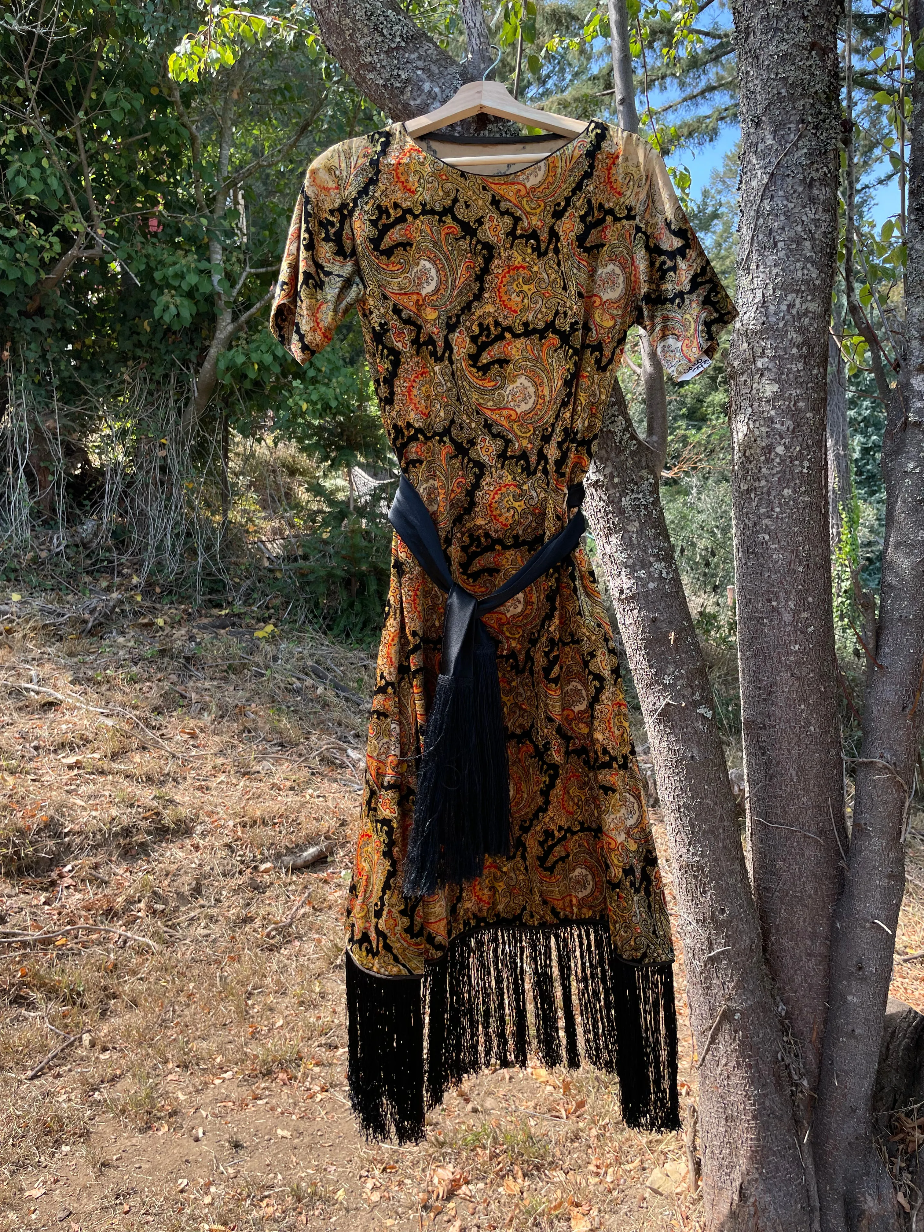 Rare 1920s Fringe Paisley Velvet Dress