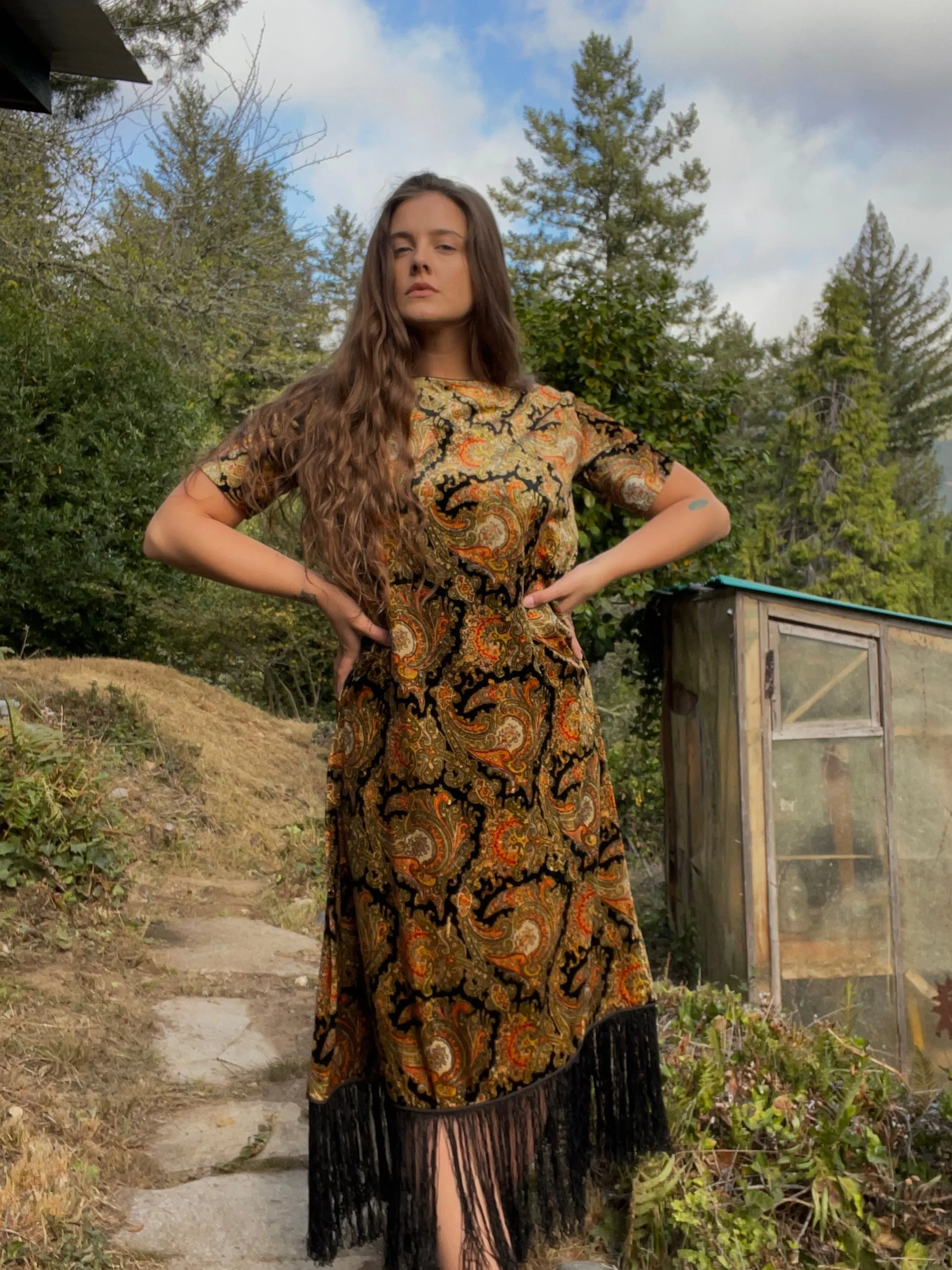 Rare 1920s Fringe Paisley Velvet Dress