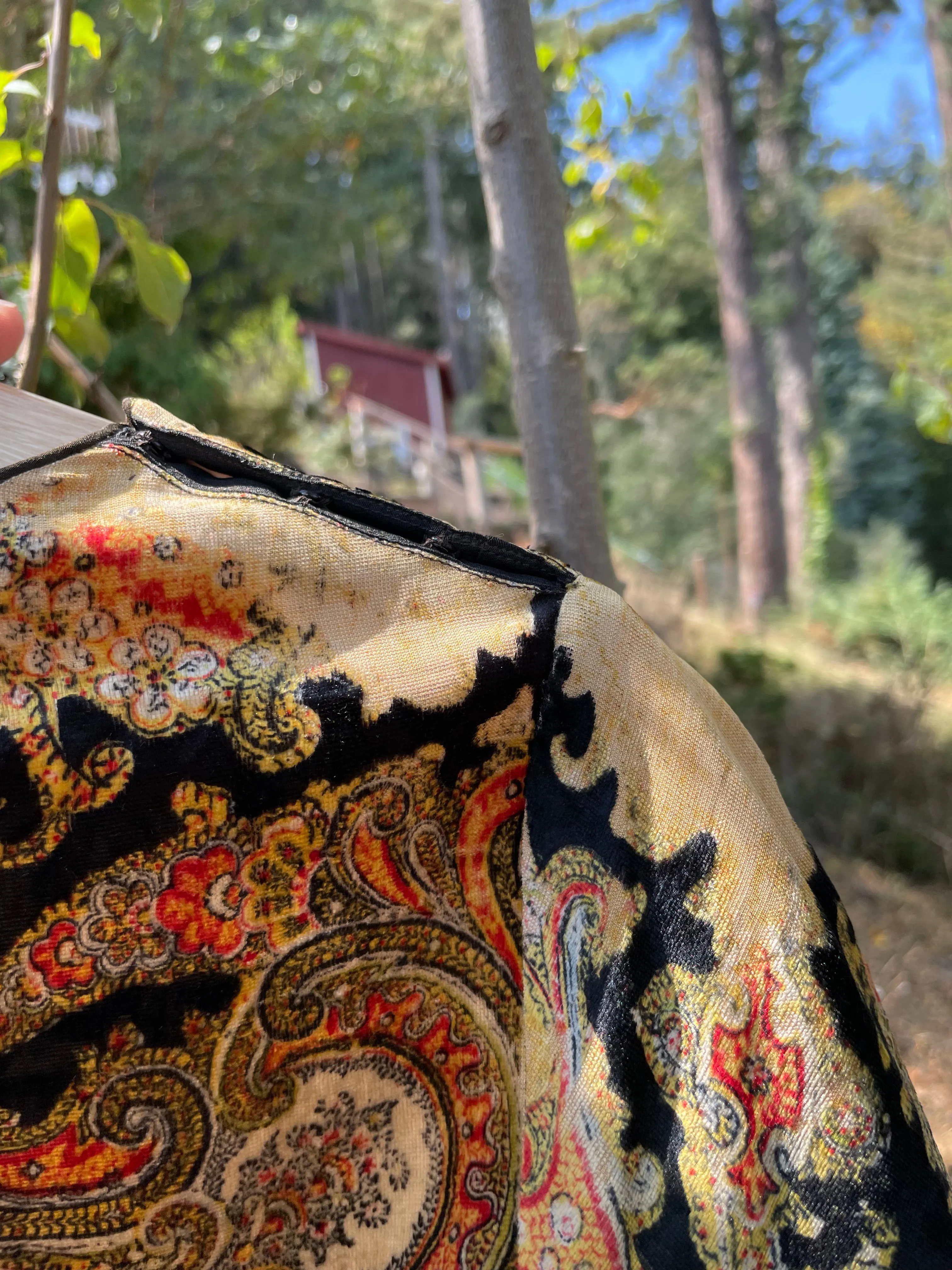 Rare 1920s Fringe Paisley Velvet Dress