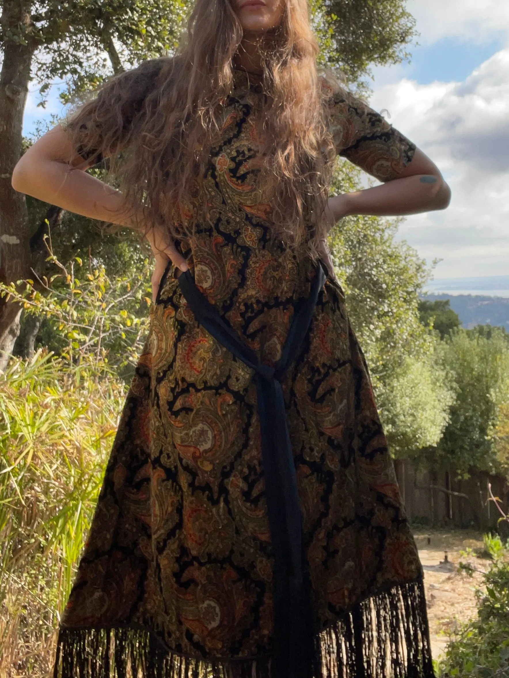 Rare 1920s Fringe Paisley Velvet Dress