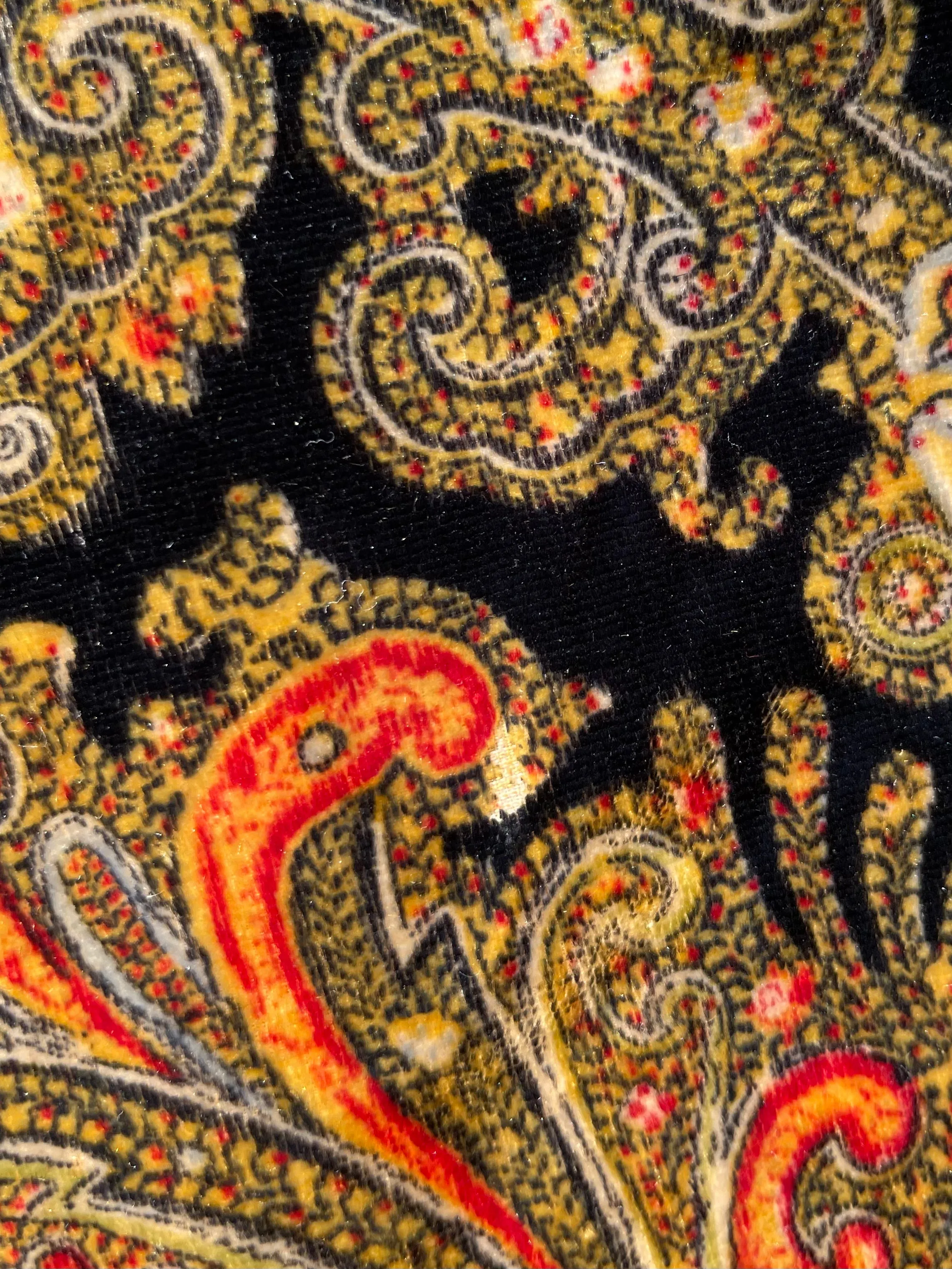 Rare 1920s Fringe Paisley Velvet Dress