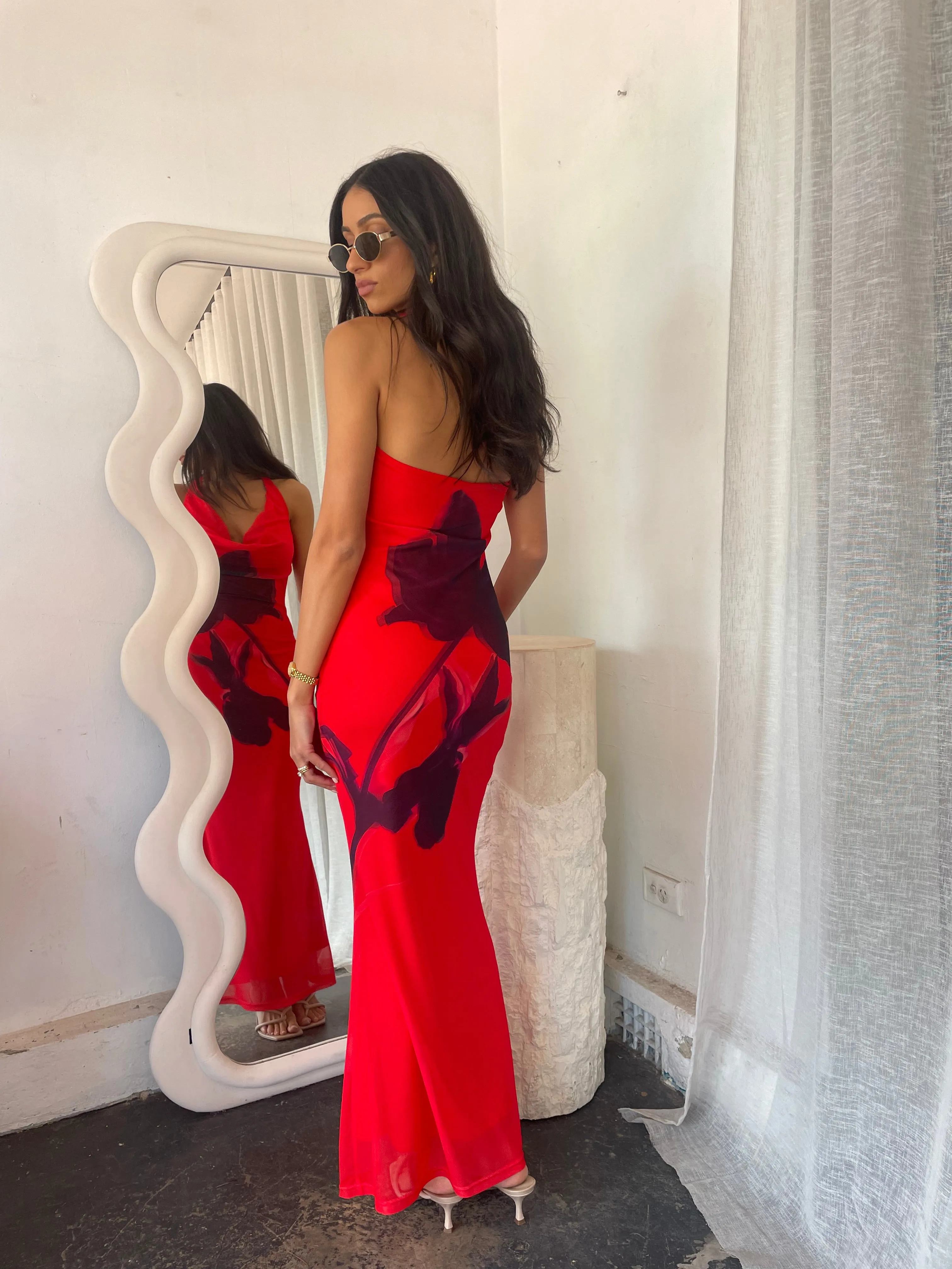 Rose Mesh halter Dress