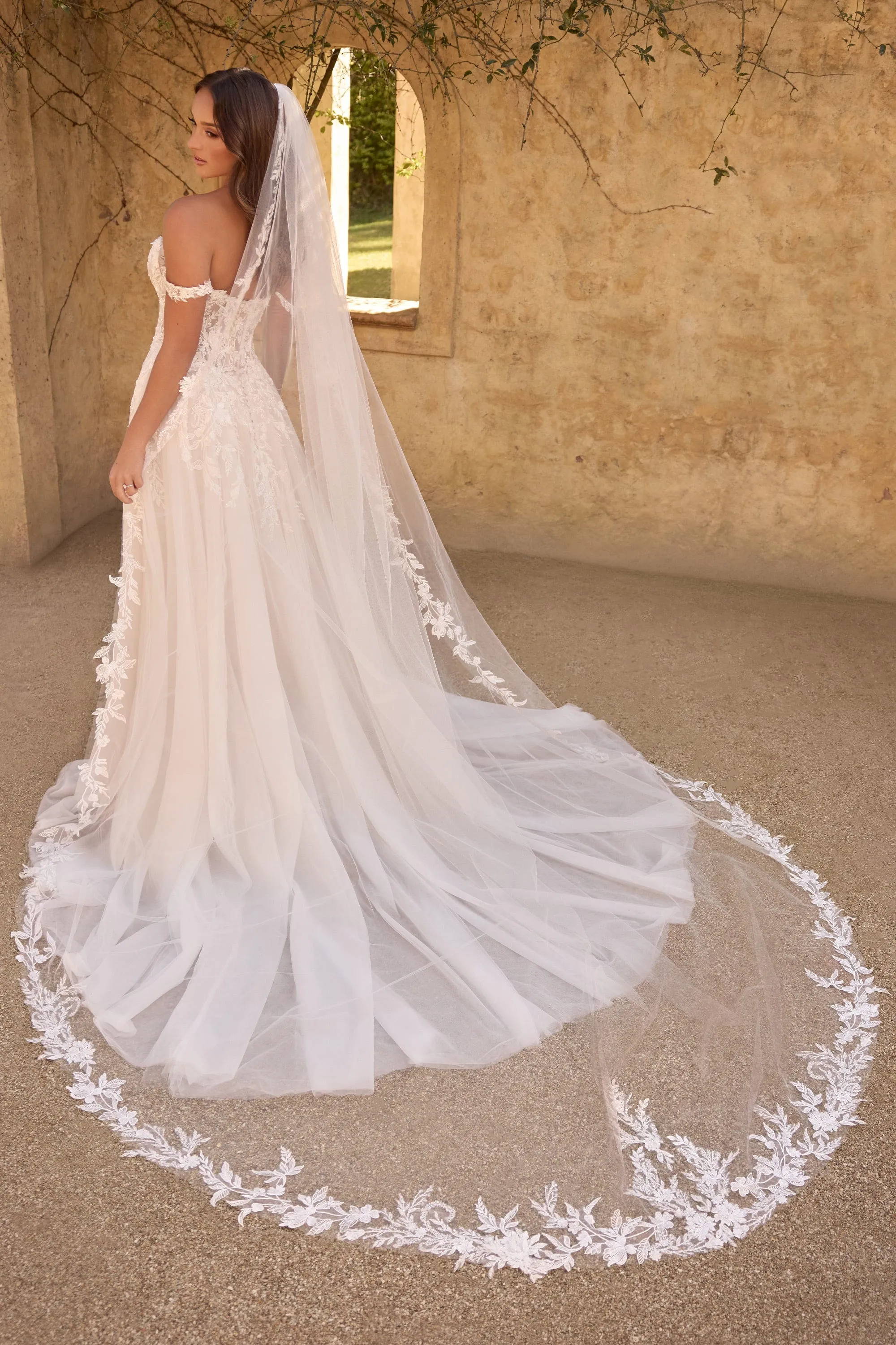 Sophia Tolli: Y3153VEIL
