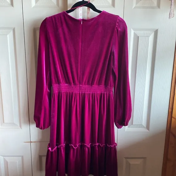 Taylor NWT Long Sleeve Vneck Hidden Back Zipper Velvet Midi Dress size 10
