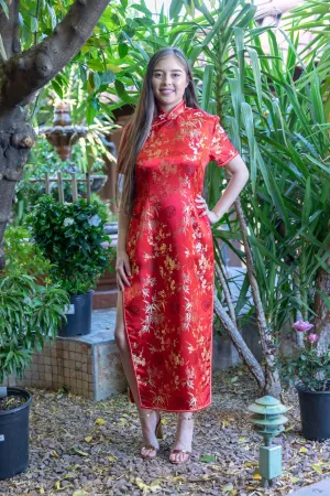 Traditional Red Chinese Silk Dress