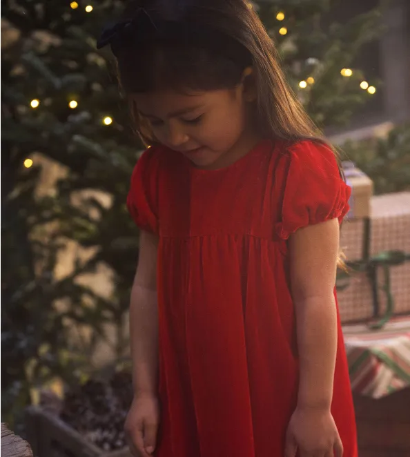 Velvet Pinafore Baby Dress