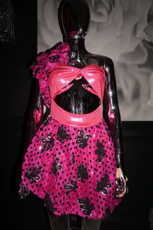 Wallflower (3)